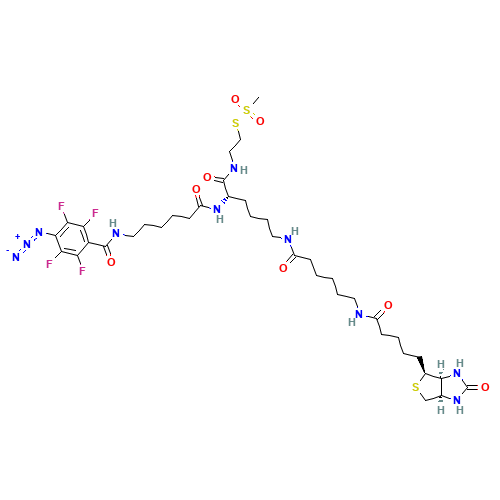 2-{N2-[N6-(4-Azido-2,3,5,6-tetrafluorobenzoyl)-6-aminocaproyl]-N6-(6-biotinamidocaproyl)-L-lysinylamido}ethyl Methanethiosulfonate (CAS: 1356841-34-3) - Related Chemical Product