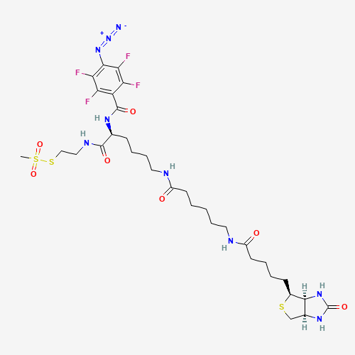 2-[N2-(4-Azido-2,3,5,6-tetrafluorobenzoyl)-N6-(6-biotinamidocaproyl)-L-lysinyl]ethyl Methanethiosulfonate (CAS: 1356383-18-0) - Related Chemical Product