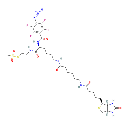 2-[N2-(4-Azido-2,3,5,6-tetrafluorobenzoyl)-N6-(6-biotinamidocaproyl)-L-lysinyl]ethyl Methanethiosulfonate (CAS: 1356383-18-0) - Related Chemical Product