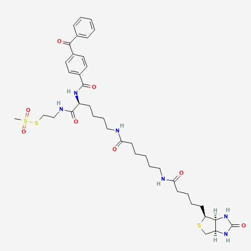2-[Na-Benzoylbenzoicamido-N6-(6-biotinamidocaproyl)-L-lysinylamido]ethyl Methanethiosulfonate (CAS: 910036-44-1) - Related Chemical Product