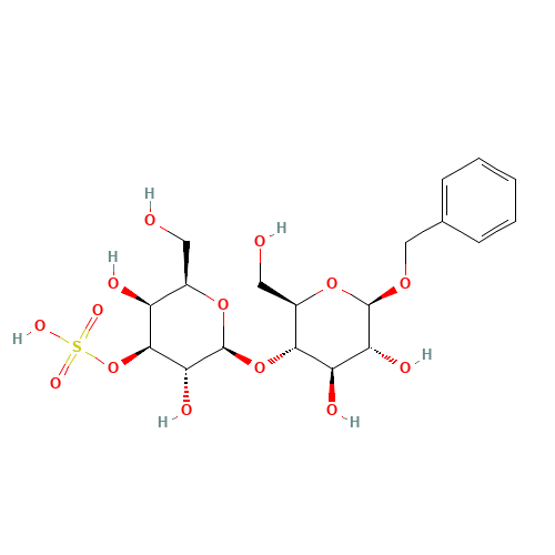 Benzyl 3'-Sulfo-b-D-lactoside (CAS: 753443-09-3) - Related Chemical Product