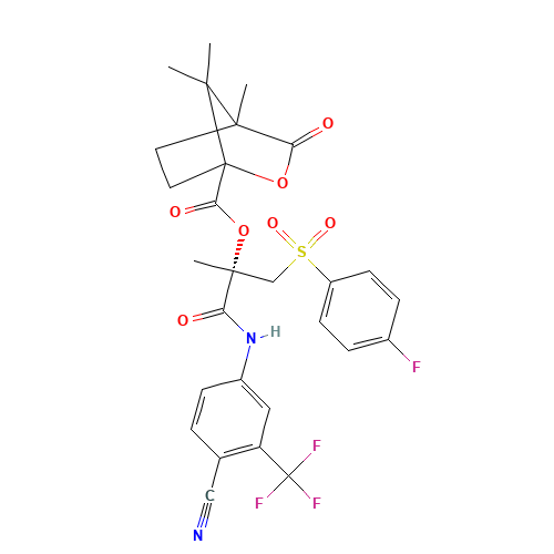 (S)-Bicalutamide (1S)-Camphanic Acid Ester (CAS: 1217519-01-1) - Related Chemical Product