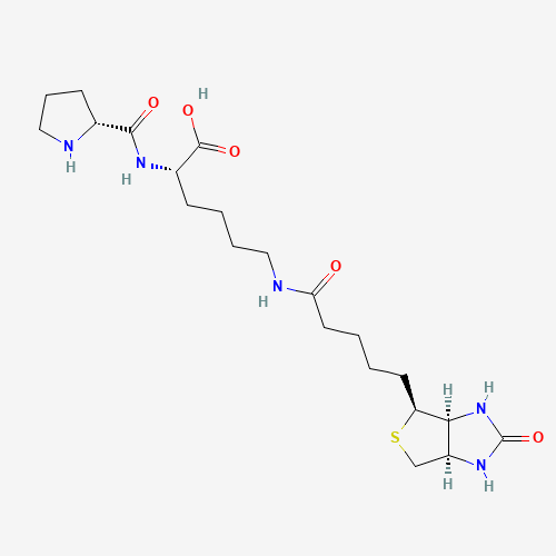 Biocytin-L-proline (CAS: 1356931-03-7) - Related Chemical Product