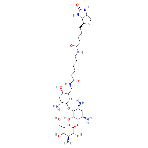 Biotinamidocaproate Tobramycin Amide (CAS: 419573-19-6) - Related Chemical Product