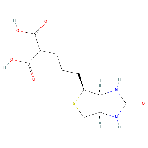 Biotin Diacid (CAS: 57671-79-1) - Related Chemical Product