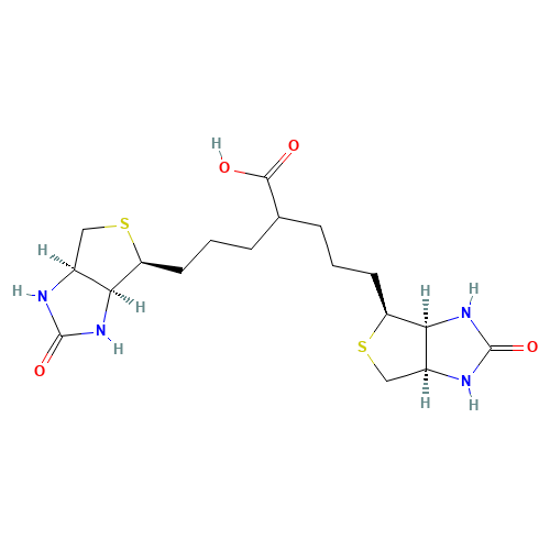 D-Biotin Dimer Acid (CAS: 1163708-46-0) - Related Chemical Product