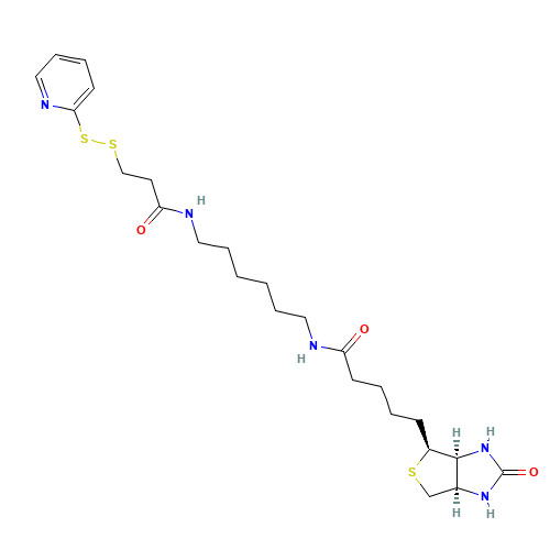Biotin HPDP (CAS: 129179-83-5) - Related Chemical Product
