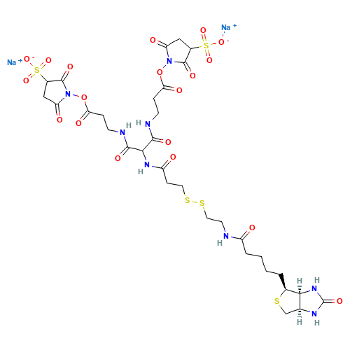 6-[2-Biotinylamidoethyl]-dithiopropionamido]-4,8-diaza-5,7-diketoundecanoic Acid Bis-N-sulfosuccinimidyl Ester Disodium Salt (CAS: 1044220-56-5) - Related Chemical Product