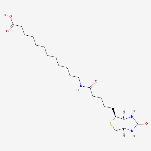 N-Biotinyl-12-aminododecanoic Acid (CAS: 135447-73-3) - Related Chemical Product