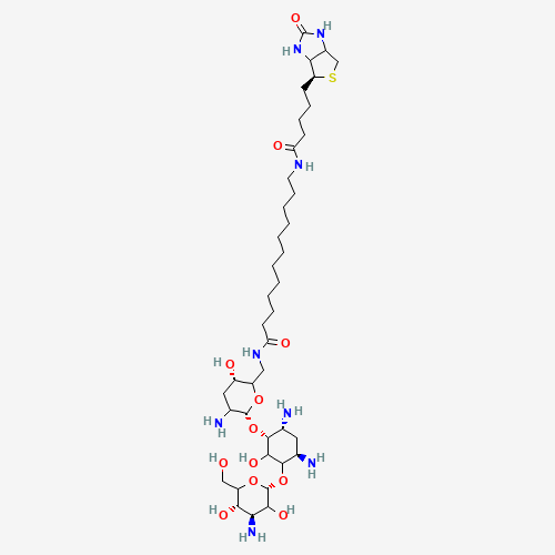 N-Biotinyl-12-aminododecanoyltobramycin Amide (CAS: 419573-20-9) - Related Chemical Product