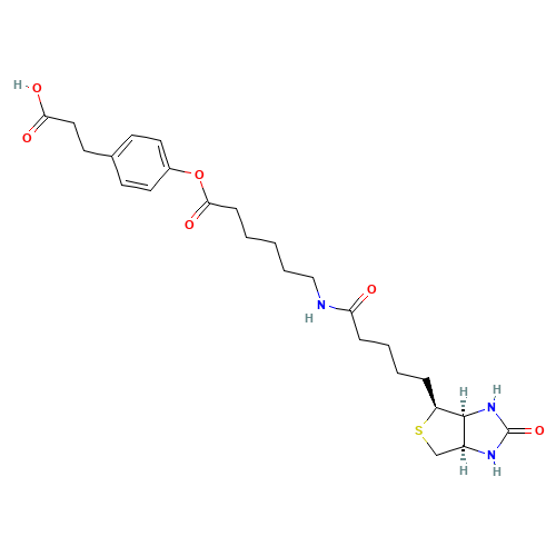 3-(4-(N-Biotinoyl-6-aminocaproyloxy)phenyl)propionic Acid (CAS: 83592-10-3) - Related Chemical Product