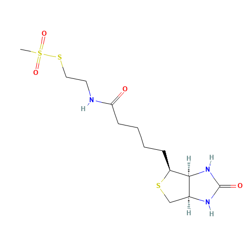N-Biotinylaminoethyl Methanethiosulfonate (CAS: 162758-04-5) - Related Chemical Product