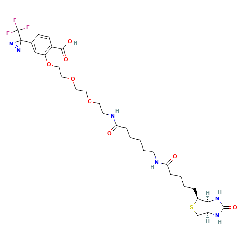 2-[2-[2-[2-[6-(Biotinylaminohexanoyl]aminoethoxy]ethoxy]ethoxy]-4-[3-(trifluoromethyl)-3H-diazirin-3-yl]benzoic Acid (CAS: 207971-23-1) - Related Chemical Product