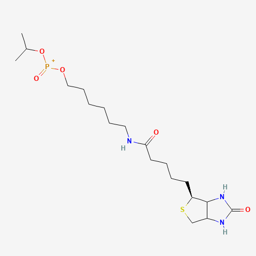 6-N-Biotinylaminohexyl Isopropyl Hydrogenphosphonate (CAS: 224583-37-3) - Related Chemical Product