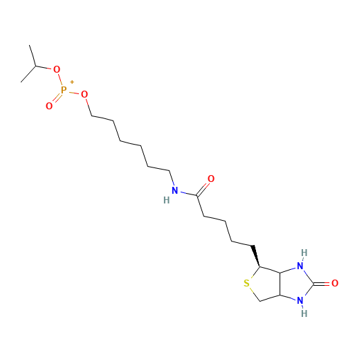 6-N-Biotinylaminohexyl Isopropyl Hydrogenphosphonate (CAS: 224583-37-3) - Related Chemical Product
