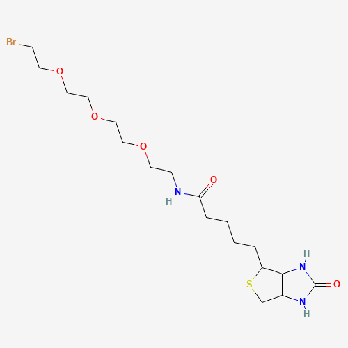 1-Biotinylamino-3,6,9-trioxaundecane-11-bromide (CAS: 1041766-91-9) - Related Chemical Product