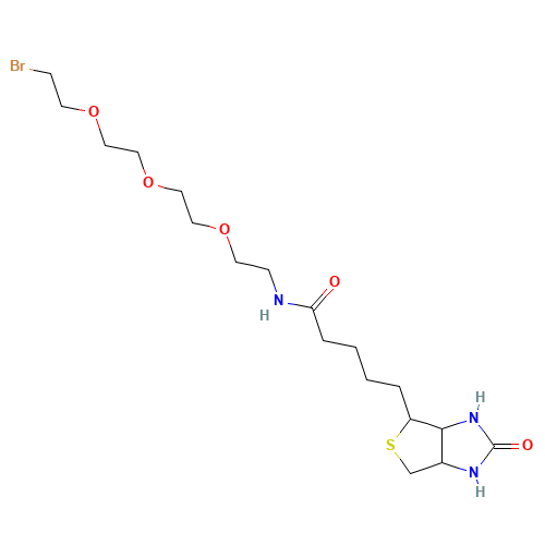 1-Biotinylamino-3,6,9-trioxaundecane-11-bromide (CAS: 1041766-91-9) - Related Chemical Product