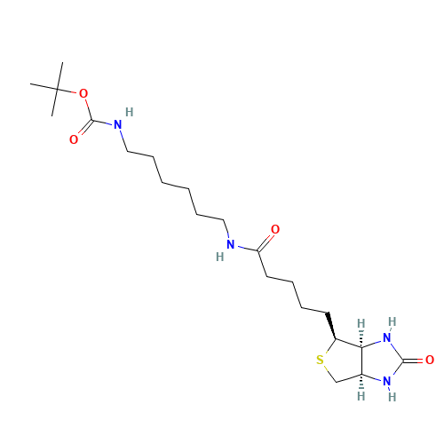 N-Biotinyl-N'-Boc-1,6-hexanediamine (CAS: 153162-70-0) - Related Chemical Product