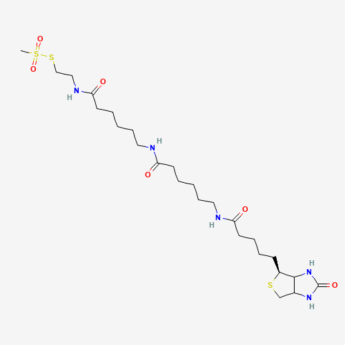 N-Biotinylcaproylaminocaproylaminoethyl Methanethiosulfonate (CAS: 1038749-81-3) - Related Chemical Product