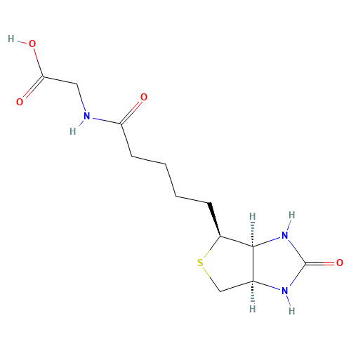 N-Biotinyl Glycine (CAS: 160390-90-9) - Related Chemical Product