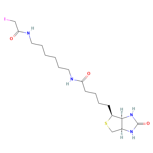 N-Biotinyl-N'-(iodoacetyl)-1,6-hexanediamine (CAS: 93285-75-7) - Related Chemical Product