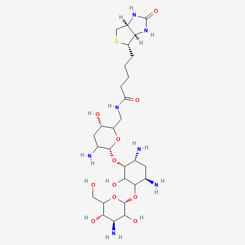 Biotinyl Tobramycin Amide (CAS: 419573-18-5) - Related Chemical Product