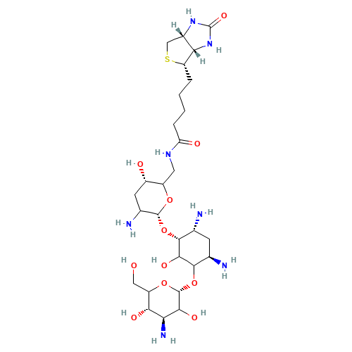Biotinyl Tobramycin Amide (CAS: 419573-18-5) - Related Chemical Product