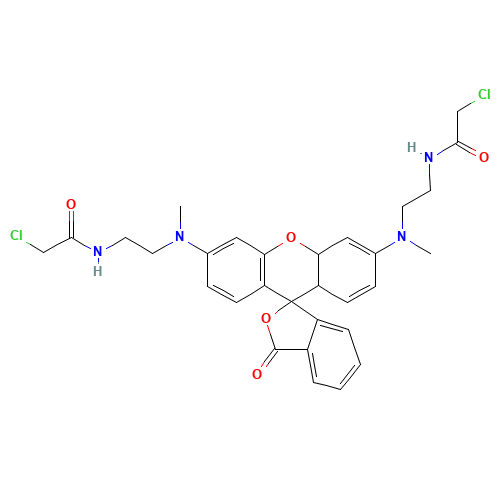 N,N'-Bis[2-(chloroacetamido)ethyl]-N,N'-dimethyl Rhodamine (CAS: 1022050-89-0) - Related Chemical Product