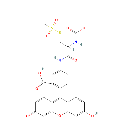 (L)-2-[(t-Boc)amino]-2-[(5-Fluoresceinyl)aminocarbonyl]ethyl Methanethiosulfonate (CAS: 1042688-20-9) - Related Chemical Product