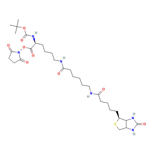 N2-t-Boc-N6-(biotinamido-6-N-caproylamido)lysine N-Hydroxysuccinimide Ester (CAS: 102910-27-0) - Related Chemical Product