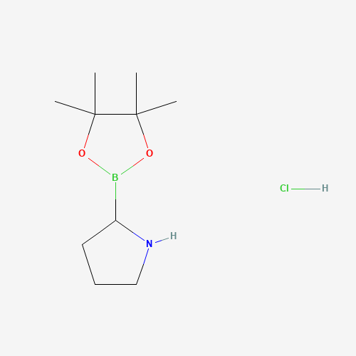 H-Boroproline Pinacol Hydrochloride (CAS: 123948-28-7) - Related Chemical Product