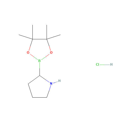 H-Boroproline Pinacol Hydrochloride (CAS: 123948-28-7) - Related Chemical Product