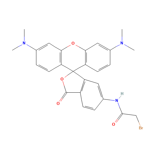 6-[Bromoacetamido]tetramethyl Rhodamine (CAS: 166442-39-3) - Related Chemical Product