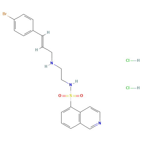 N-[2-(p-Bromocinnamylamino)ethyl]-5-isoquinoline Sulfonamide Dihydrochloride (CAS: 130964-39-5) - Related Chemical Product