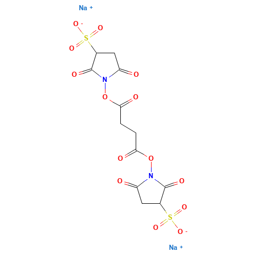 Butanedioic Acid 1,4-Bis(2,5-dioxo-3-sulfo-1-pyrrolidinyl) Ester Disodium Salt (CAS: 215597-96-9) - Related Chemical Product