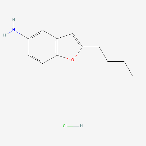2-Butyl-5-benzofuranamine Hydrochloride (CAS: 526196-90-7) - Related Chemical Product