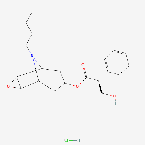 N-Butyl Nor Scopolamine Hydrochloride (CAS: 22235-98-9) - Related Chemical Product