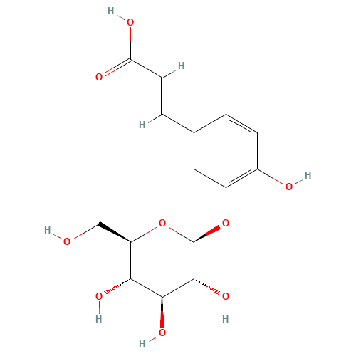 Caffeic Acid 3-b-D-Glucoside (CAS: 24959-81-7) - Related Chemical Product