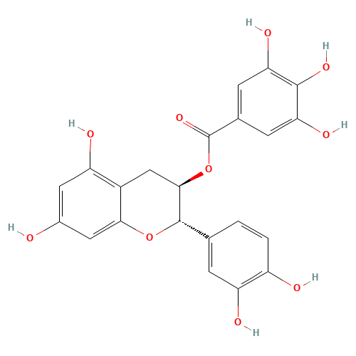 (-)-Catechin Gallate (CAS: 130405-40-2) - Related Chemical Product