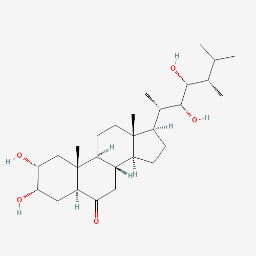 Castasterone (CAS: 80736-41-0) - Related Chemical Product