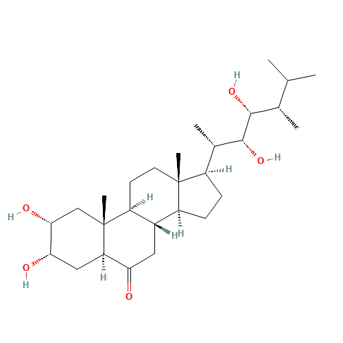 Castasterone (CAS: 80736-41-0) - Related Chemical Product