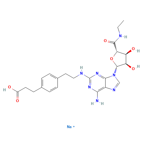 CGS 21680C Sodium Salt (CAS: 120225-64-1) - Related Chemical Product