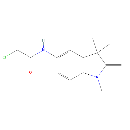 5-Chloroacetamido-2-methylene-1,3,3-trimethylindoline (CAS: 51980-53-1) - Related Chemical Product