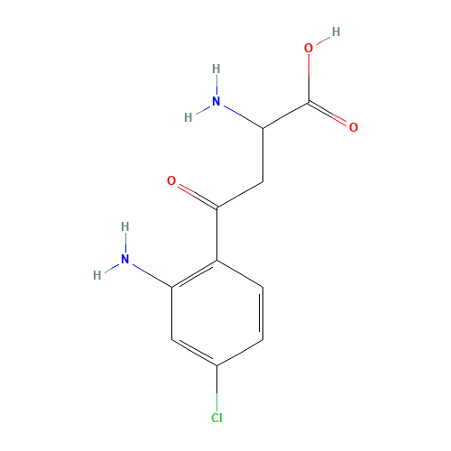 4-Chloro Kynurenine (CAS: 75802-84-5) - Related Chemical Product