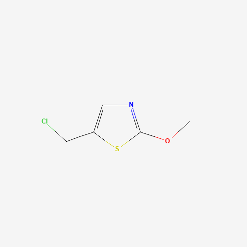5-Chloromethyl-2-methoxythiazole (CAS: 937655-07-7) - Related Chemical Product