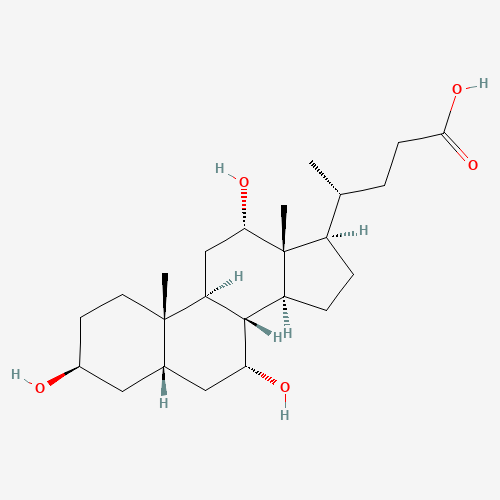 3b-Cholic Acid (CAS: 3338-16-7) - Related Chemical Product