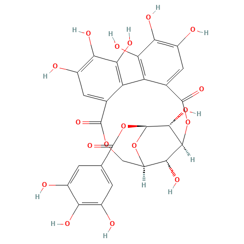 Corilagin (CAS: 23094-69-1) - Related Chemical Product