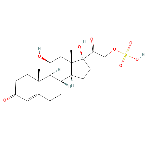 Cortisol 21-Sulfate (CAS: 1253-43-6) - Related Chemical Product