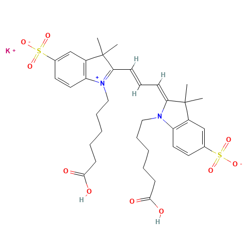 Cyanine 3 Bihexanoic Acid Dye,Potassium Salt (CAS: 762260-71-9) - Related Chemical Product