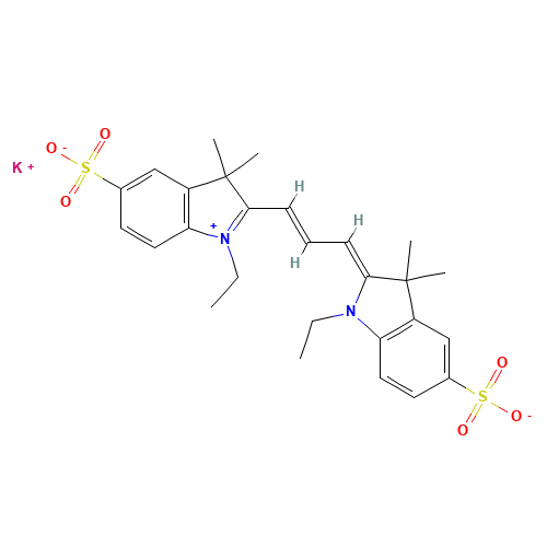 Cyanine 3 Bisethyl Dye Potassium Salt (CAS: 474972-41-3) - Related Chemical Product